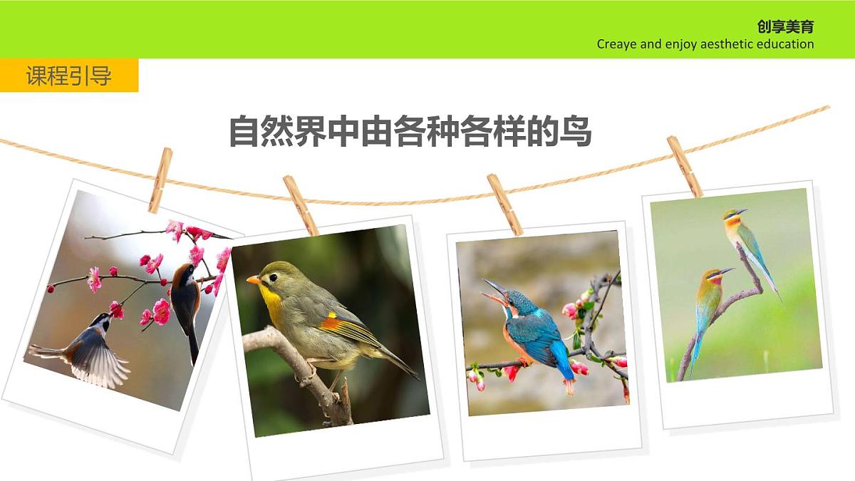 学前教育大班《热闹的大树》课件第5页
