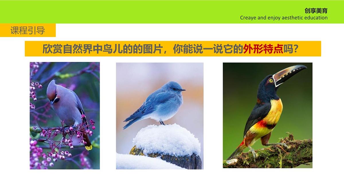 学前教育大班《热闹的大树》课件第6页