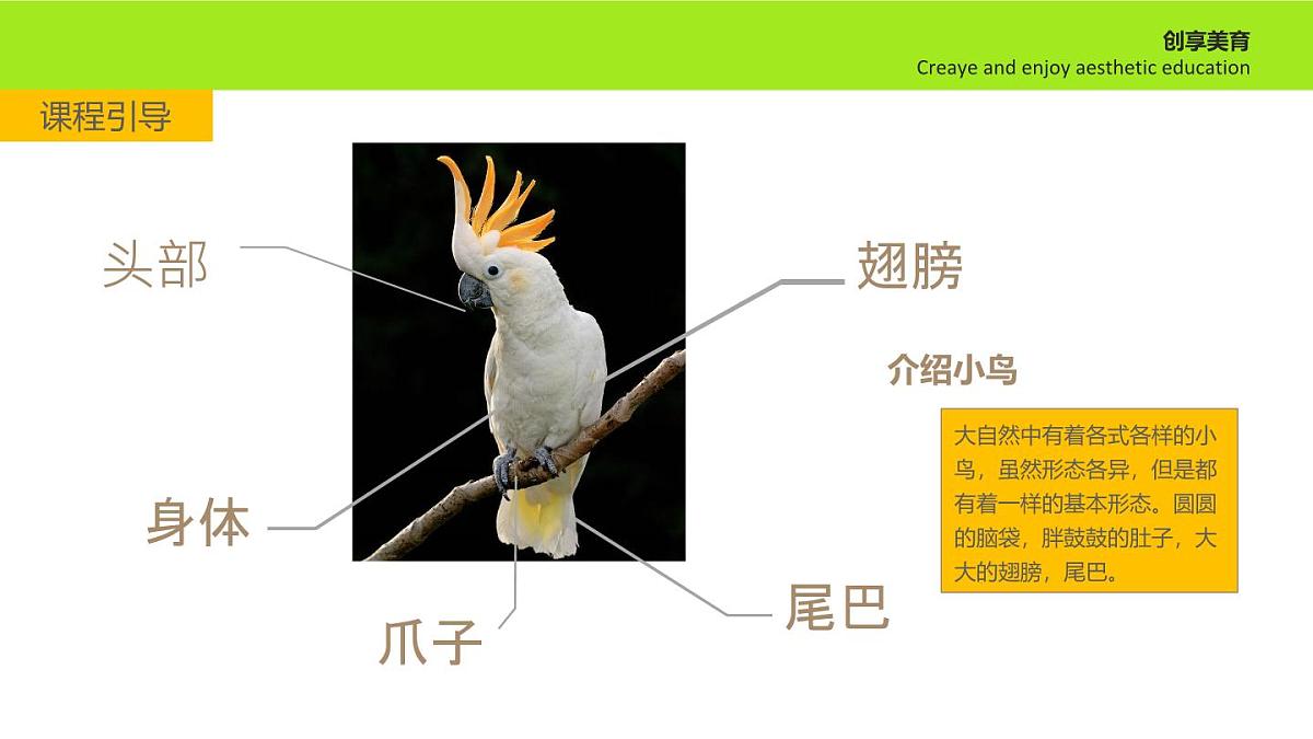 学前教育大班《热闹的大树》课件第7页