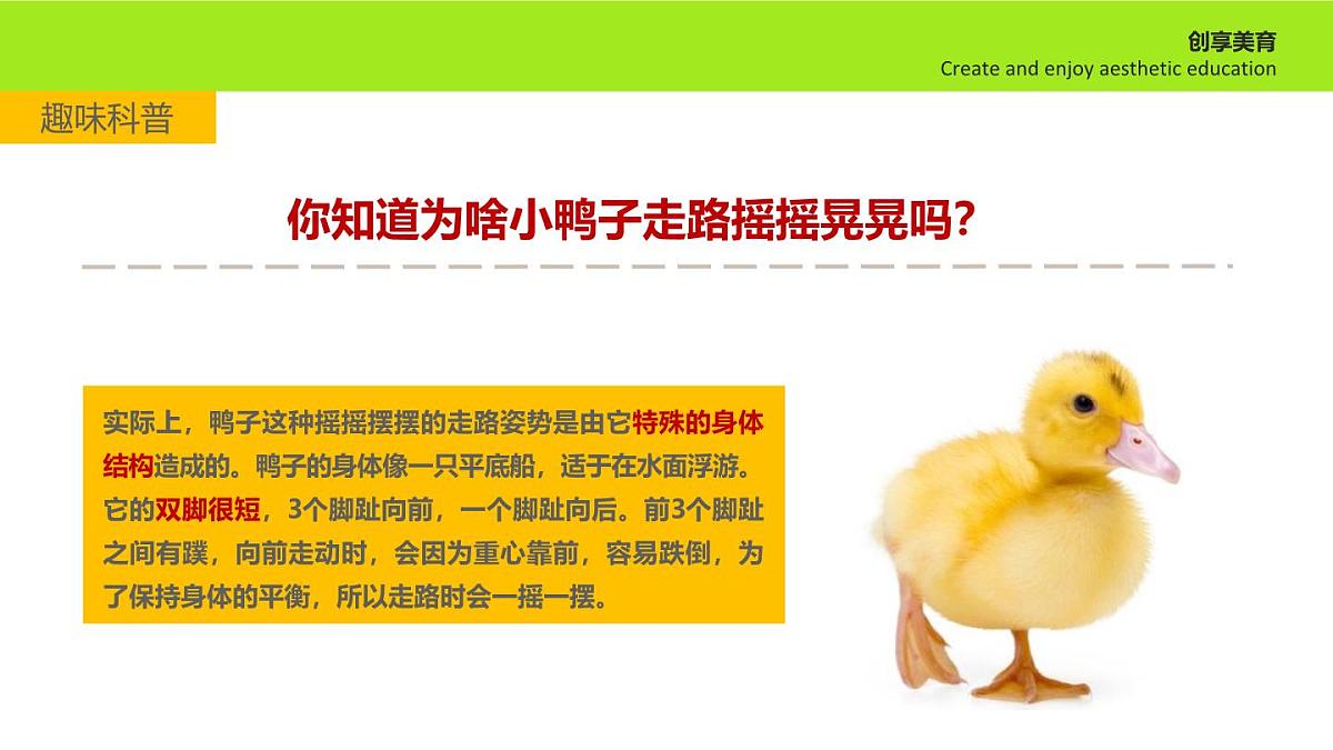 学前教育大班《夏日炎炎》课件第5页