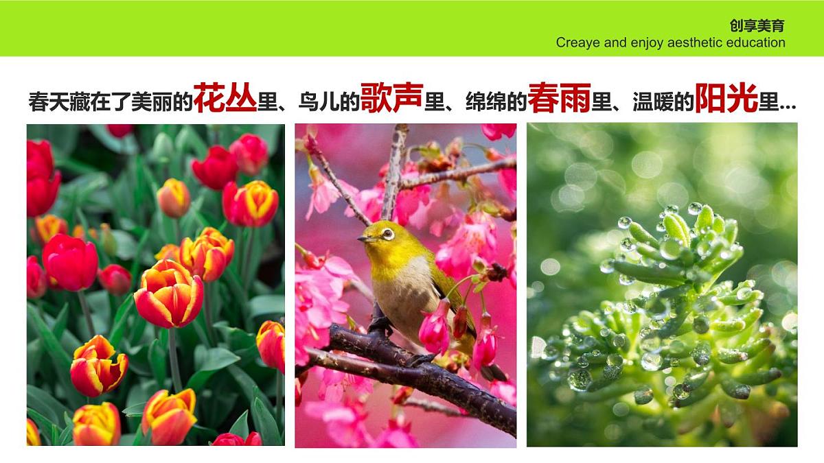 学前教育大班《春和景明》课件第6页