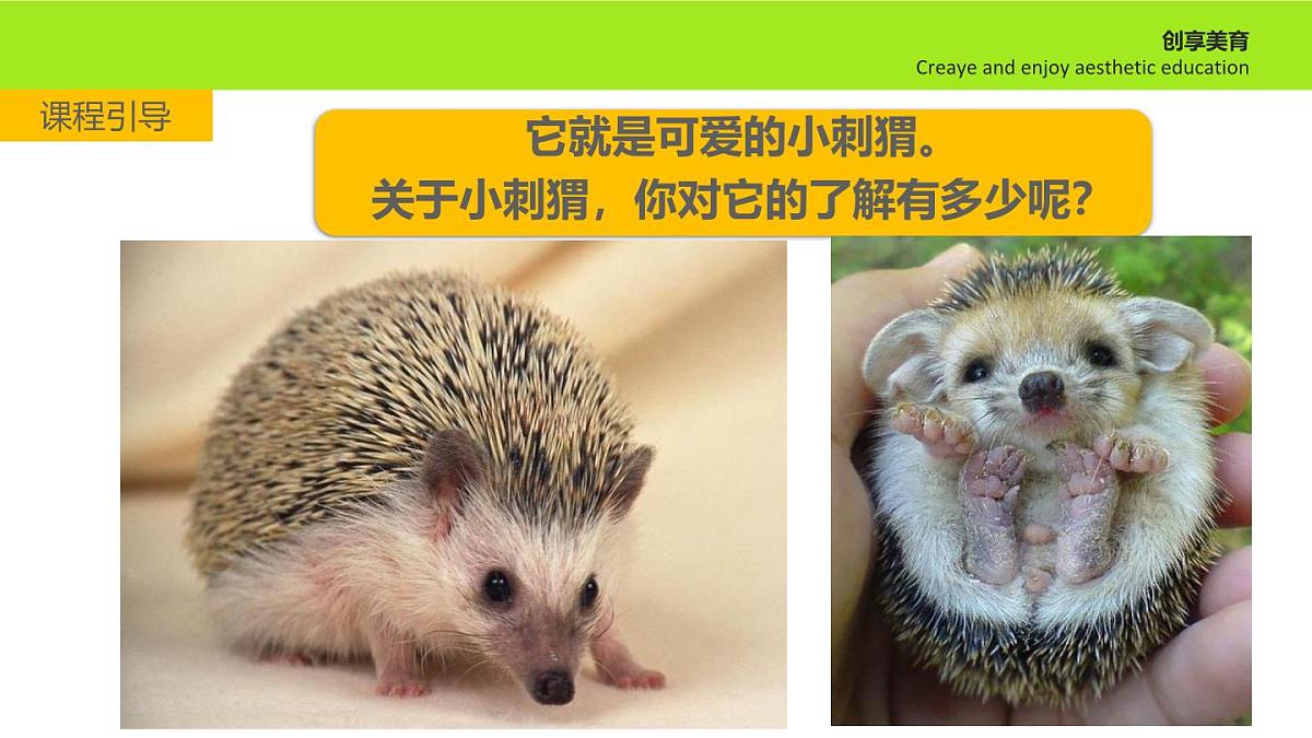学前教育大班《刺ke》课件第5页