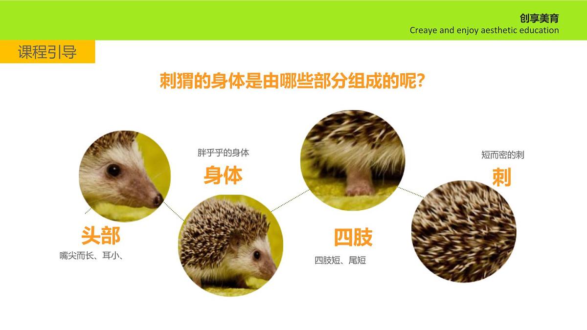 学前教育大班《刺ke》课件第6页