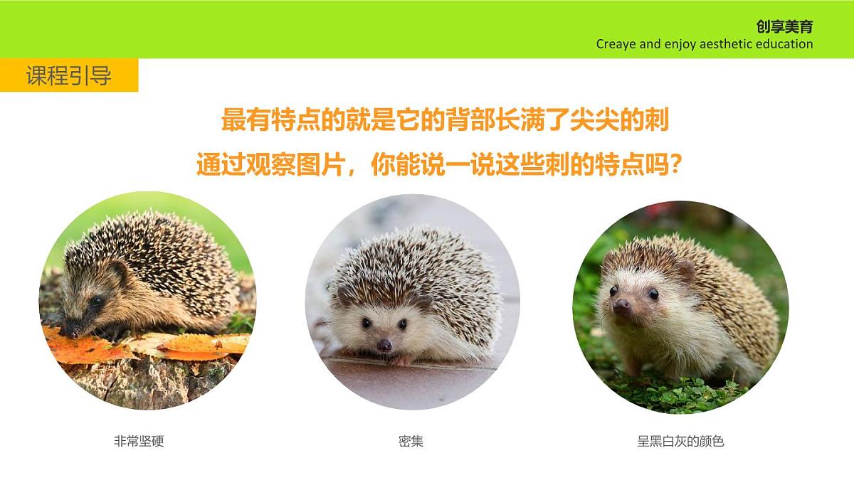 学前教育大班《刺ke》课件第7页