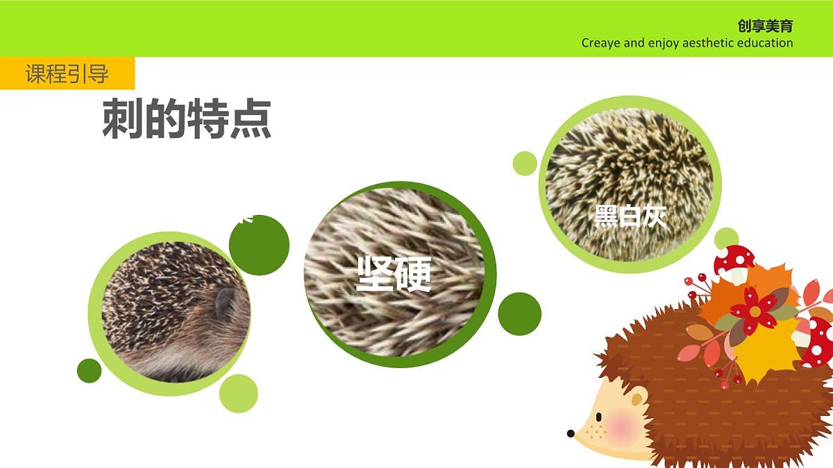 学前教育大班《刺ke》课件第8页