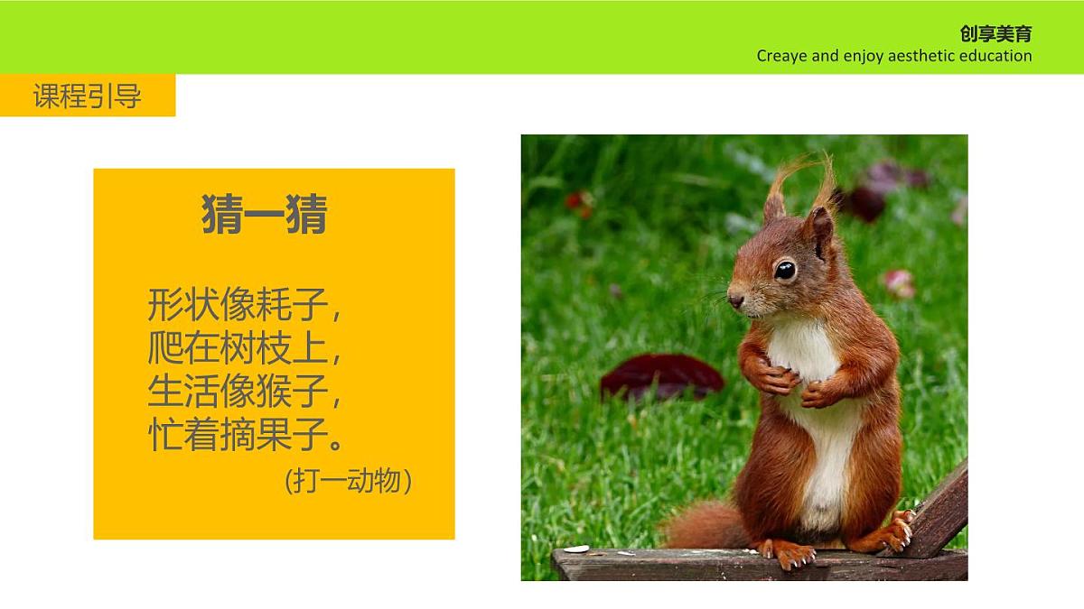 学前教育大班《打伞的小松鼠》课件第4页