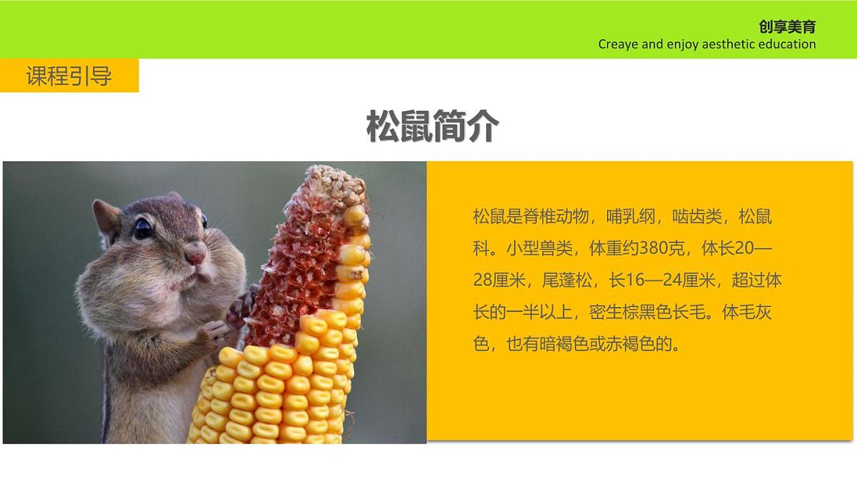 学前教育大班《打伞的小松鼠》课件第5页