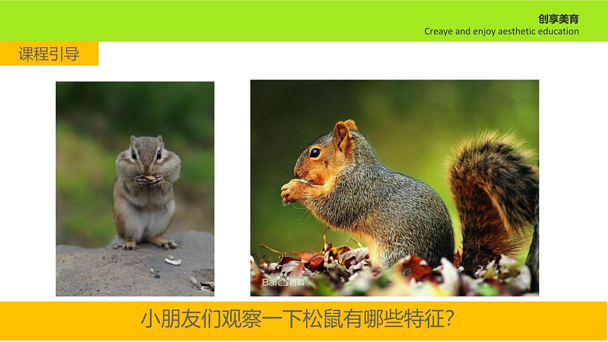 学前教育大班《打伞的小松鼠》课件第7页