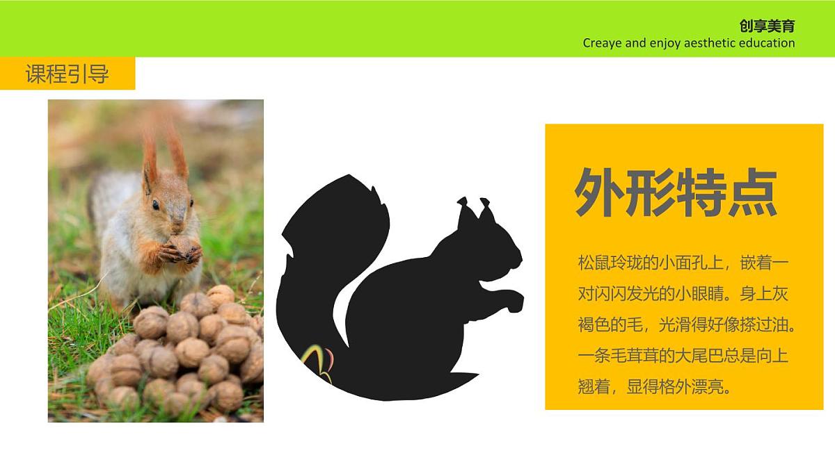 学前教育大班《打伞的小松鼠》课件第8页