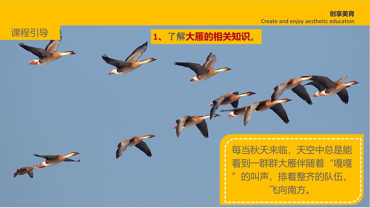 学前教育大班《大雁南飞》课件第4页