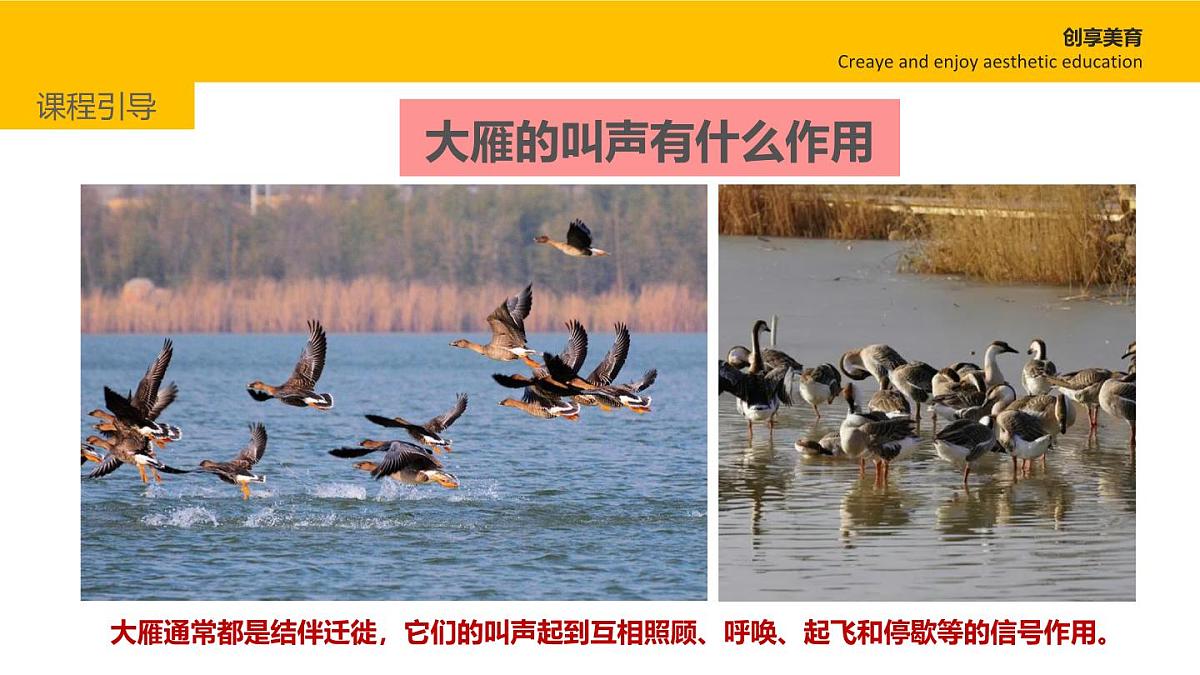 学前教育大班《大雁南飞》课件第5页