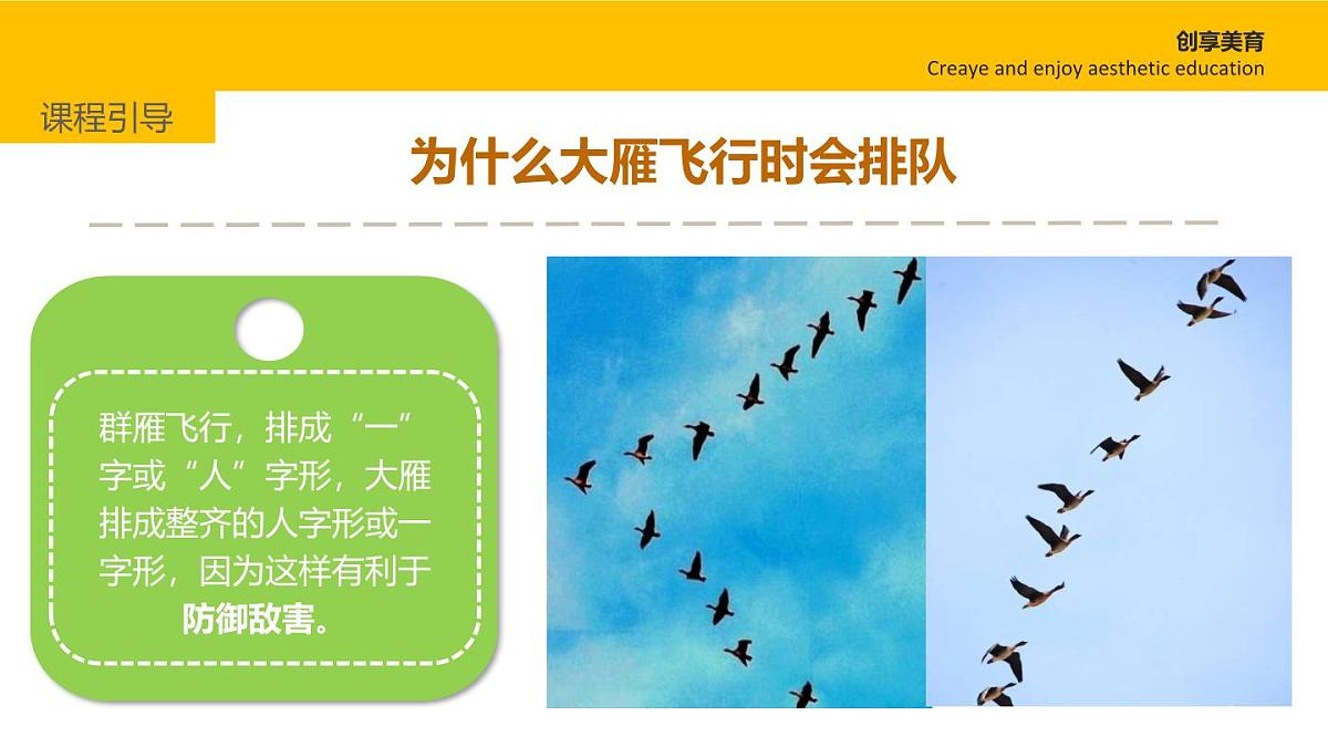 学前教育大班《大雁南飞》课件第6页