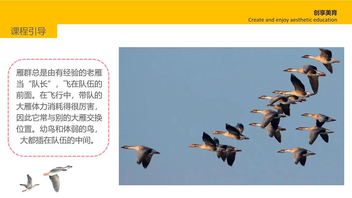学前教育大班《大雁南飞》课件第7页