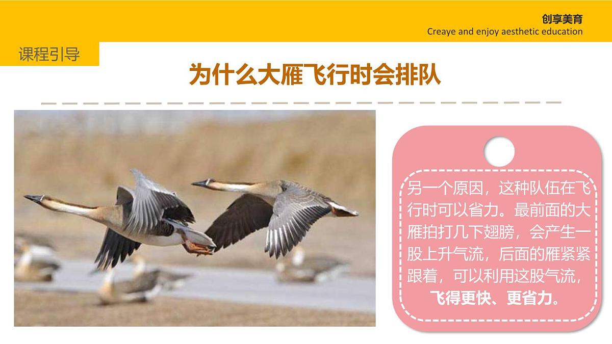 学前教育大班《大雁南飞》课件第8页