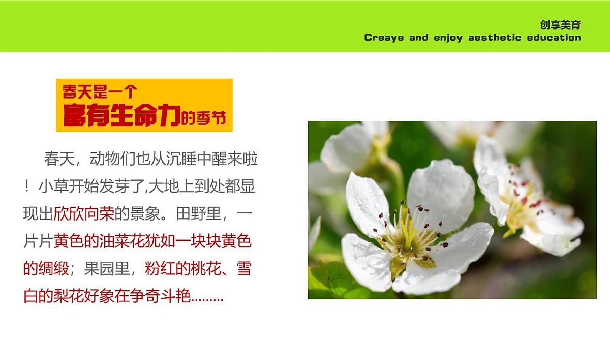 学前教育大班《梨花风起正清明》课件第7页