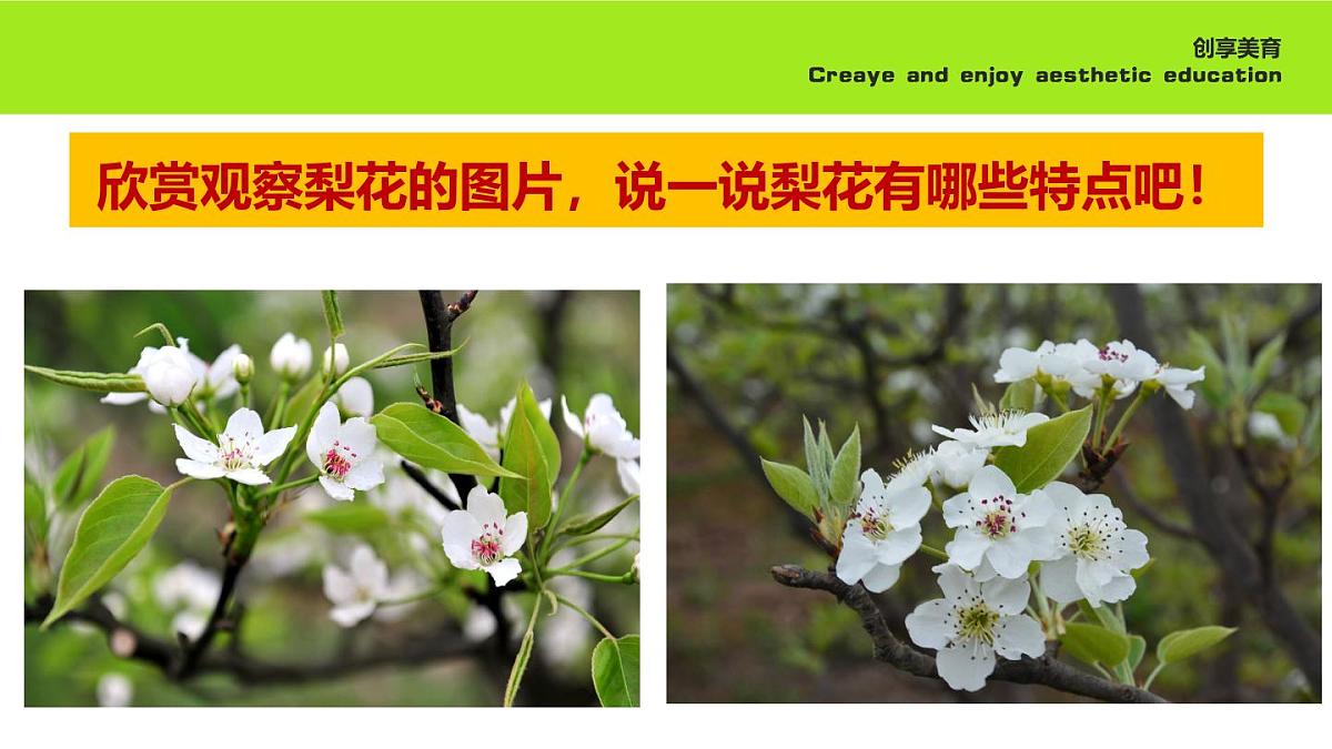 学前教育大班《梨花风起正清明》课件第8页