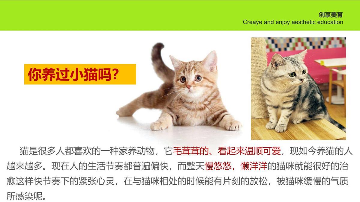 学前教育大班《猫猫雨》课件第5页