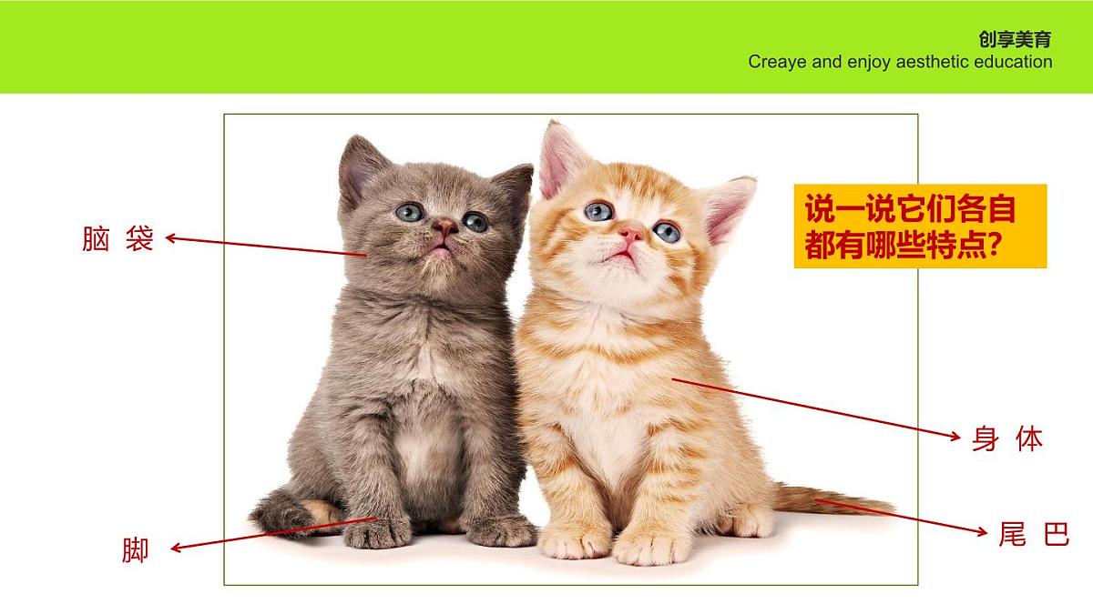 学前教育大班《猫猫雨》课件第7页
