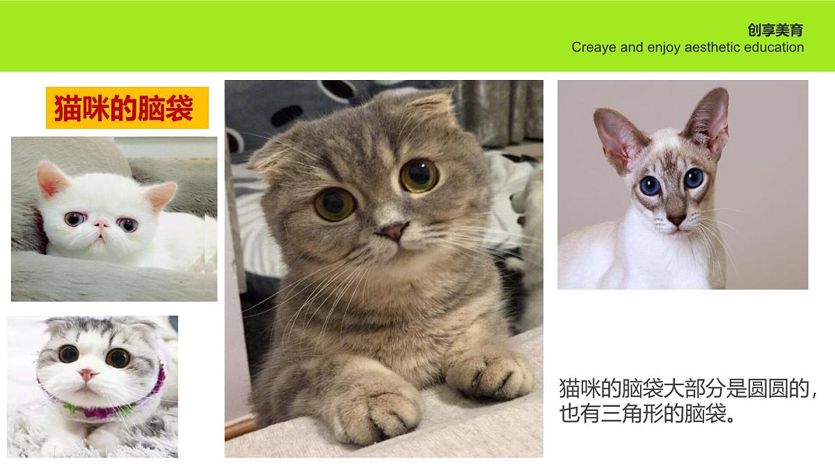 学前教育大班《猫猫雨》课件第8页
