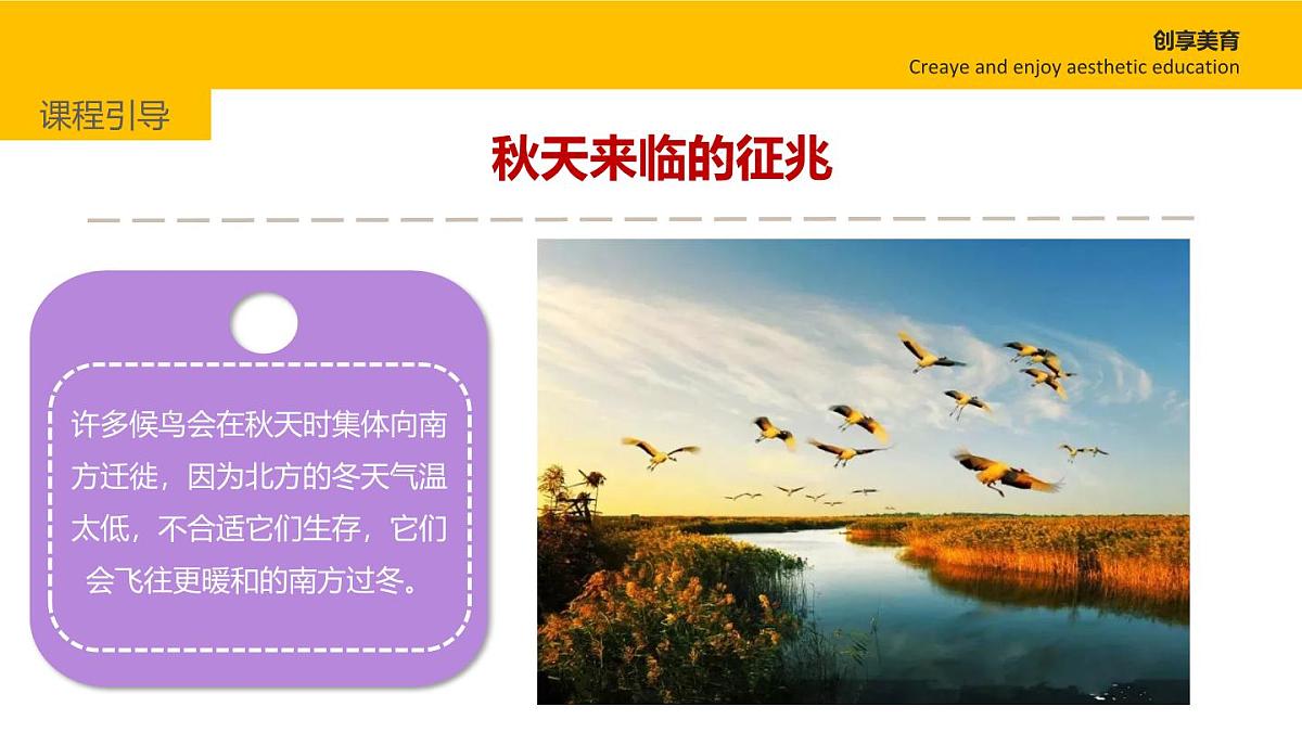 学前教育大班《秋风起》课件第6页