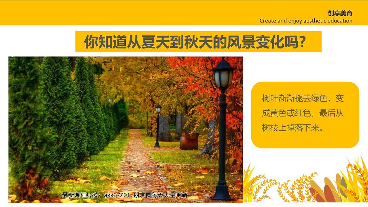 学前教育大班《秋日漫游记》课件第5页