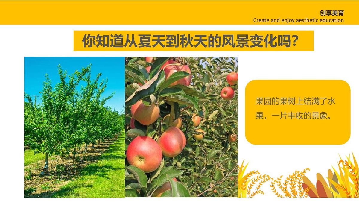 学前教育大班《秋日漫游记》课件第7页