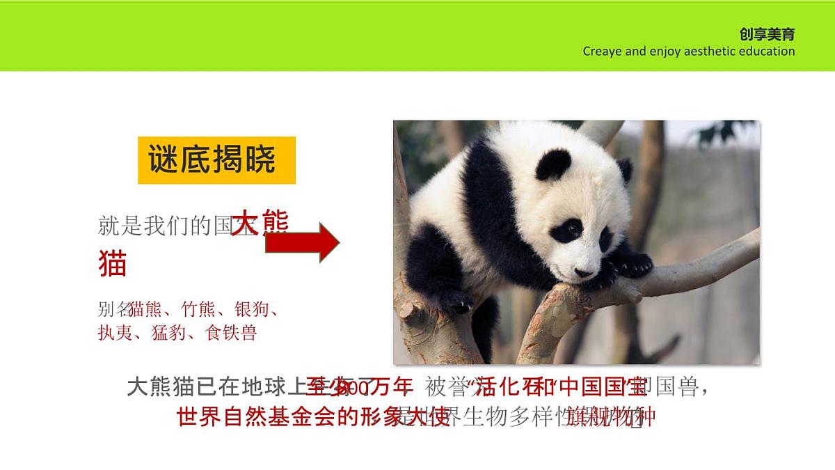 学前教育大班《全家福》课件第6页