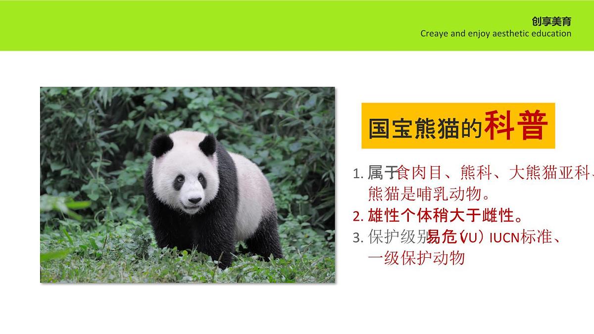 学前教育大班《全家福》课件第7页