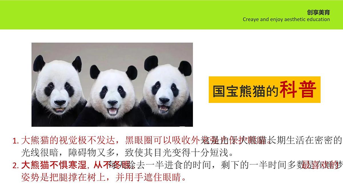 学前教育大班《全家福》课件第8页