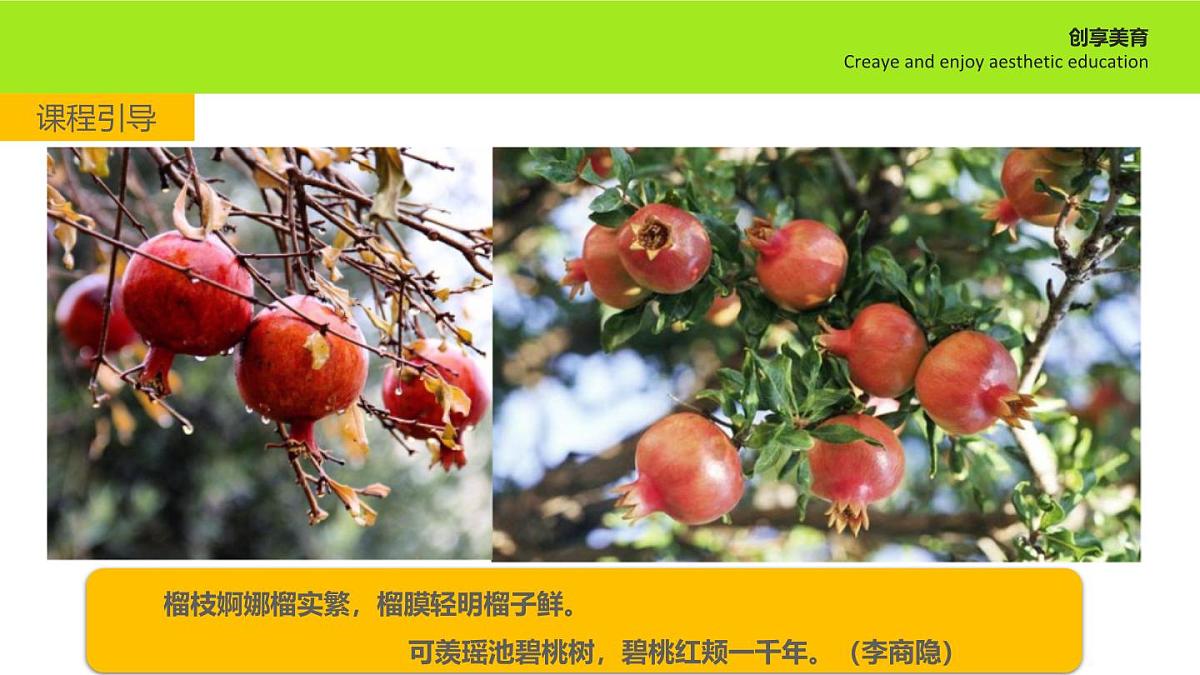 学前教育大班《石榴花》课件第4页