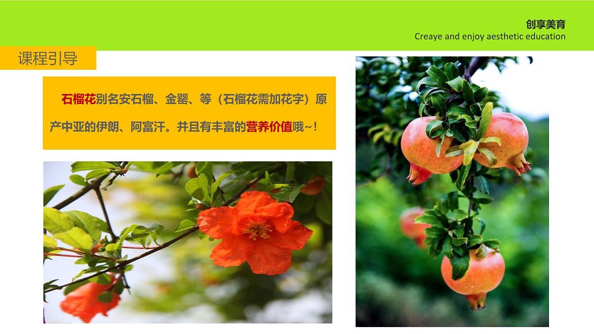 学前教育大班《石榴花》课件第5页