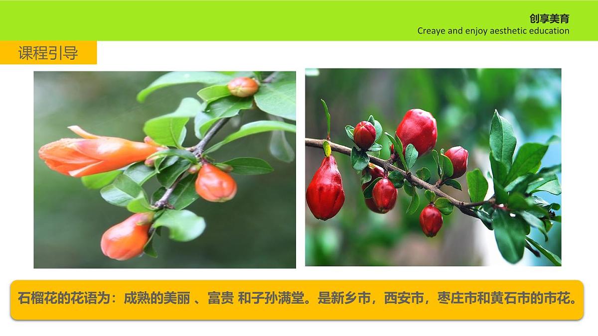 学前教育大班《石榴花》课件第6页