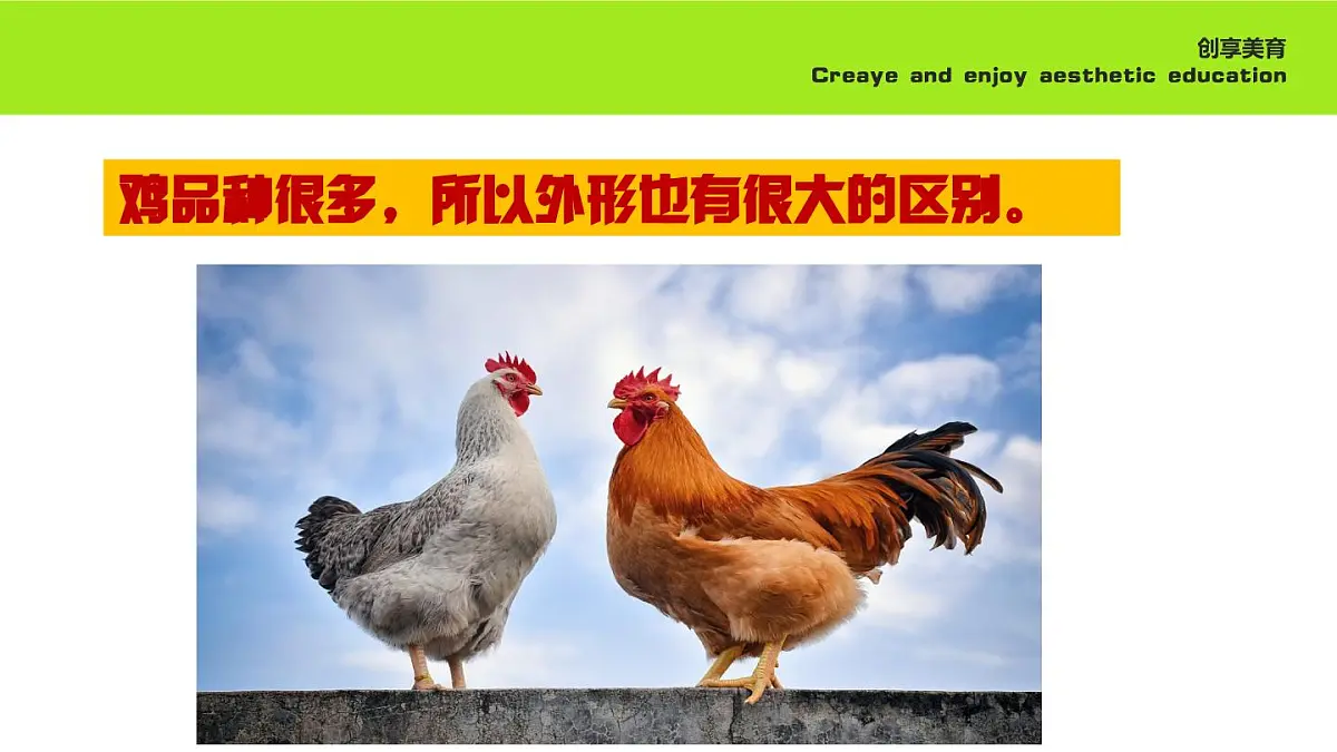 学前教育大班《守护》课件第7页
