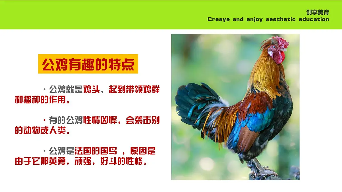 学前教育大班《守护》课件第8页