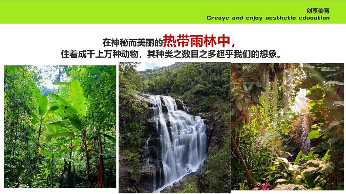 学前教育大班《顺风车》课件第5页