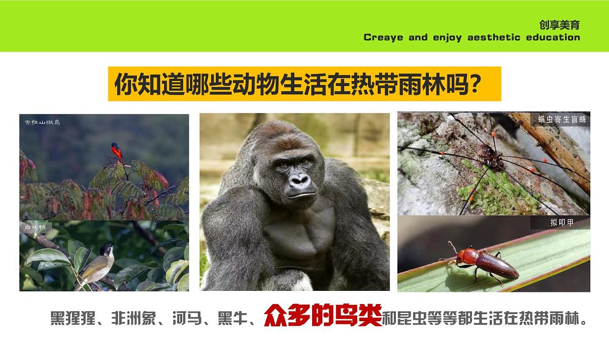 学前教育大班《顺风车》课件第6页