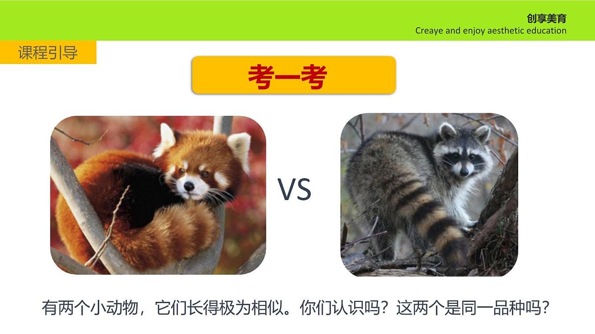 学前教育大班《跳伞的小浣熊》课件第4页