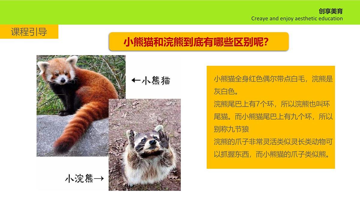 学前教育大班《跳伞的小浣熊》课件第5页