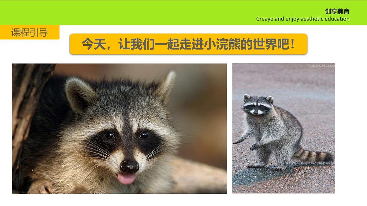 学前教育大班《跳伞的小浣熊》课件第6页