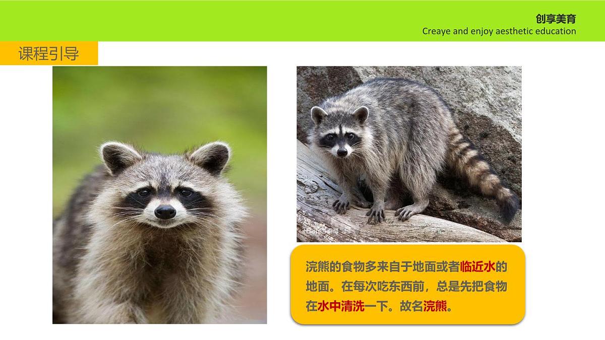 学前教育大班《跳伞的小浣熊》课件第7页