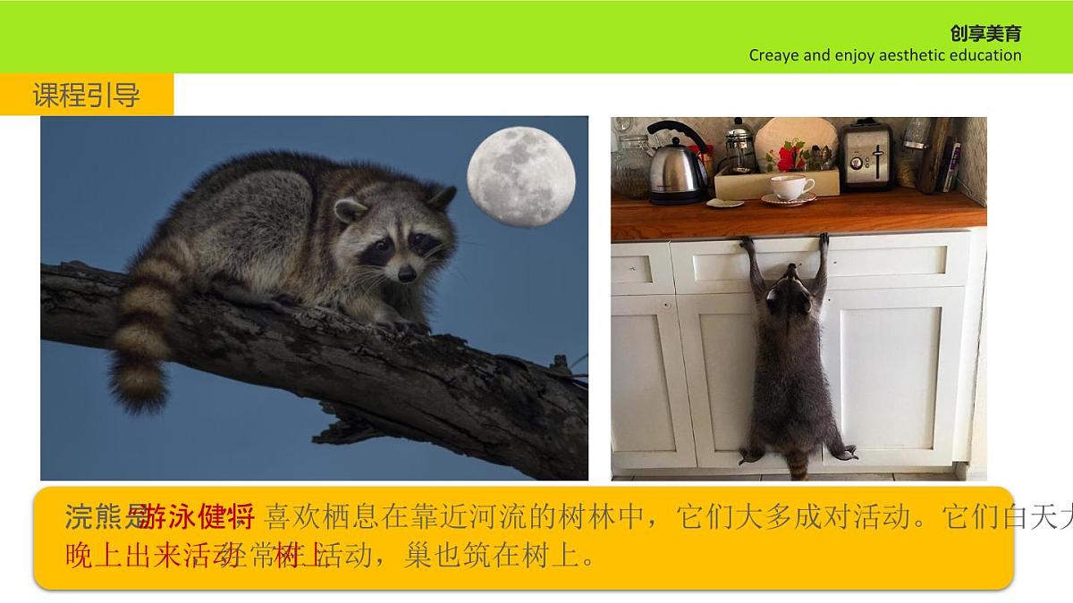 学前教育大班《跳伞的小浣熊》课件第8页
