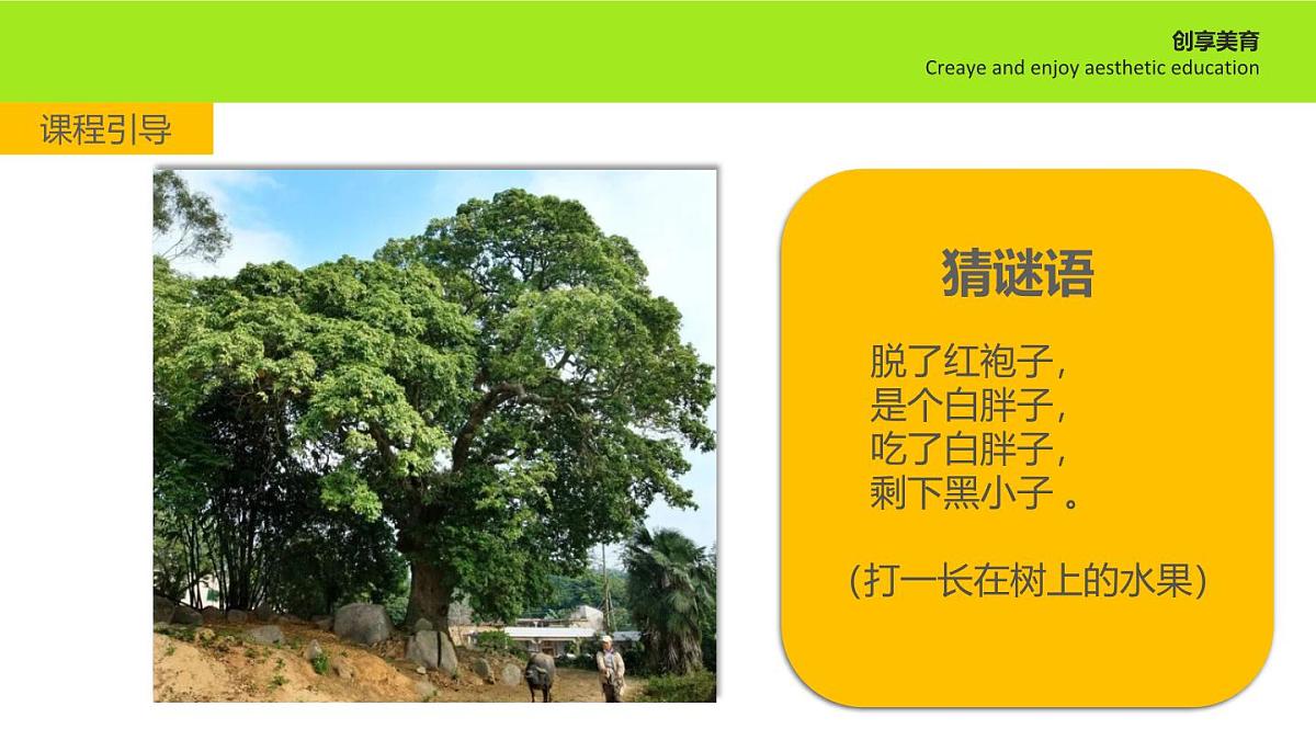 学前教育大班《隐藏者》课件第4页