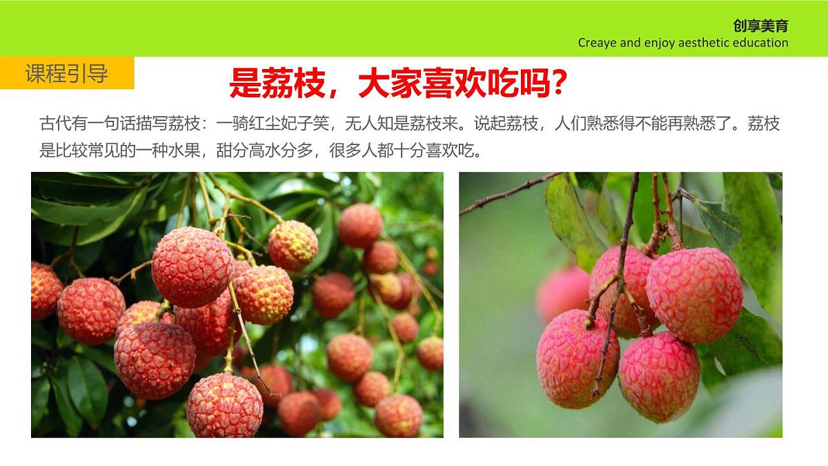 学前教育大班《隐藏者》课件第5页