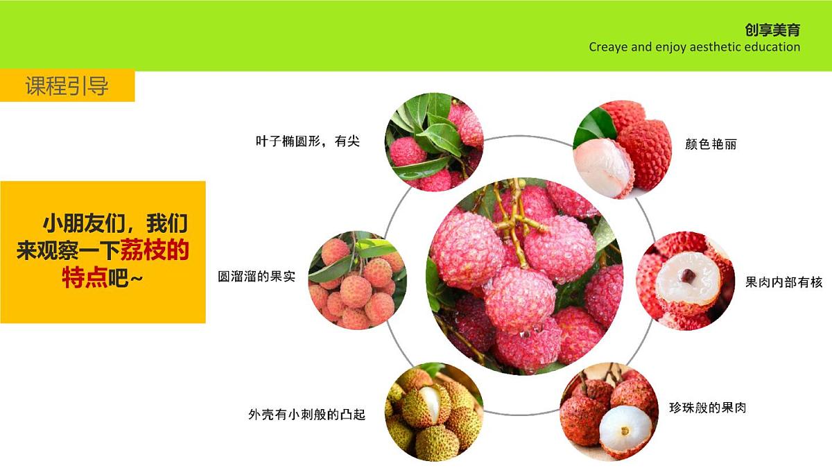 学前教育大班《隐藏者》课件第7页
