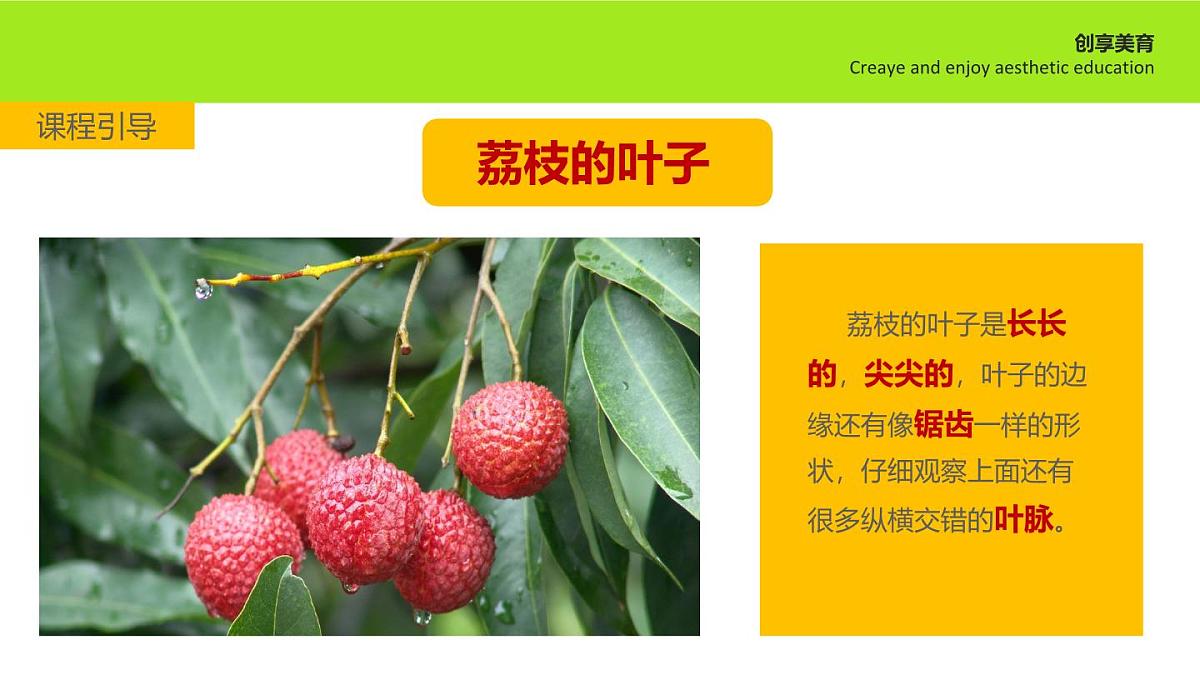 学前教育大班《隐藏者》课件第8页
