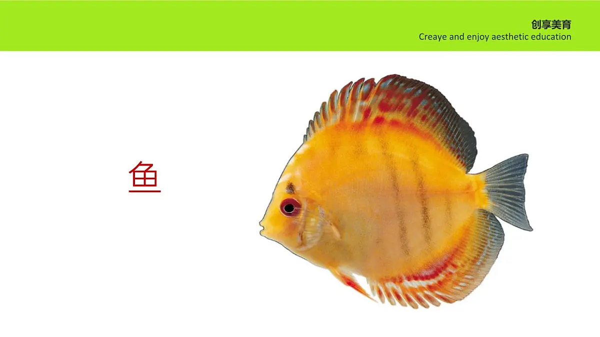 学前教育大班《鱼戏莲叶间》课件第6页