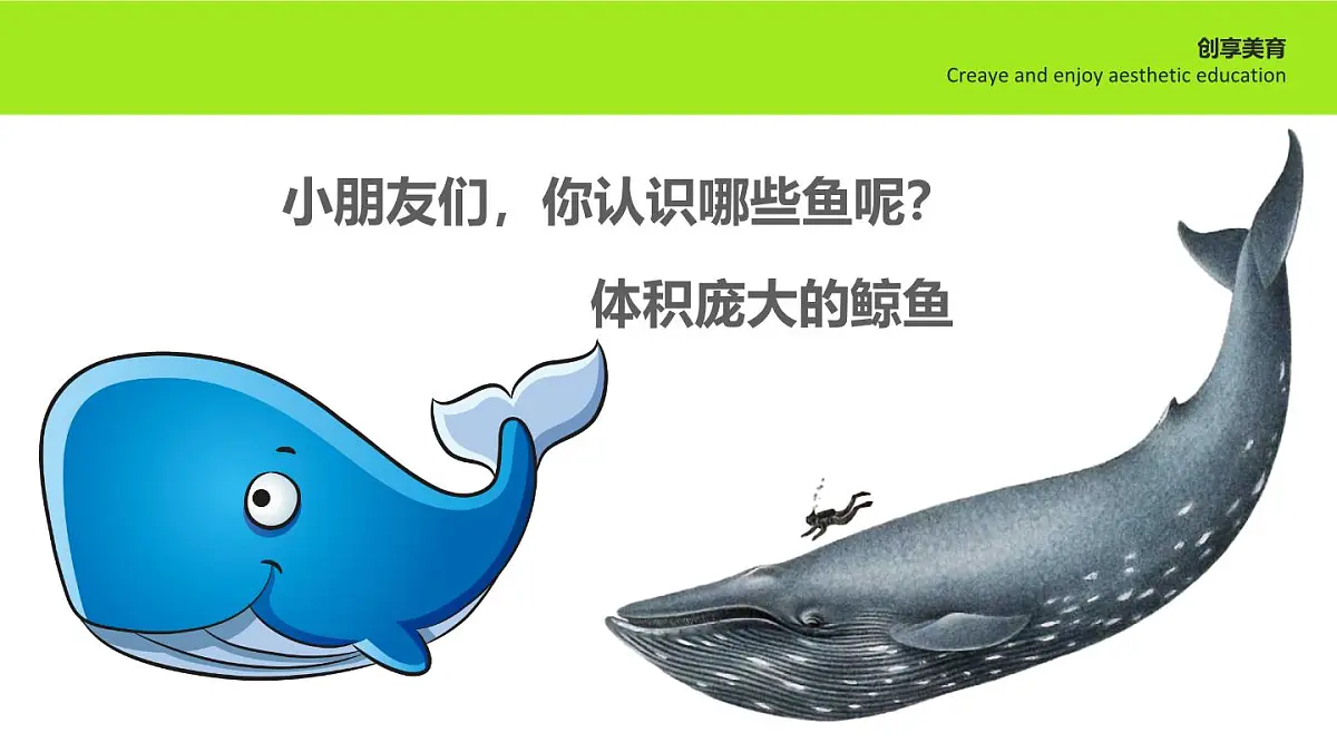 学前教育大班《鱼戏莲叶间》课件第7页