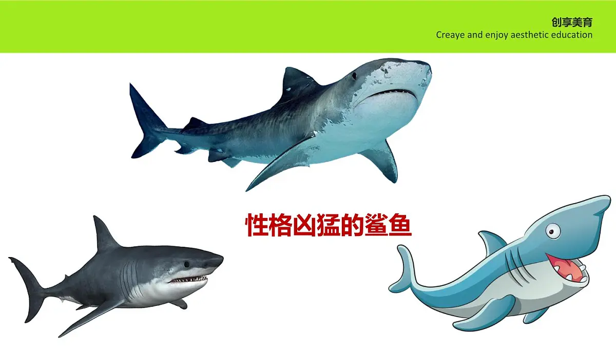 学前教育大班《鱼戏莲叶间》课件第8页