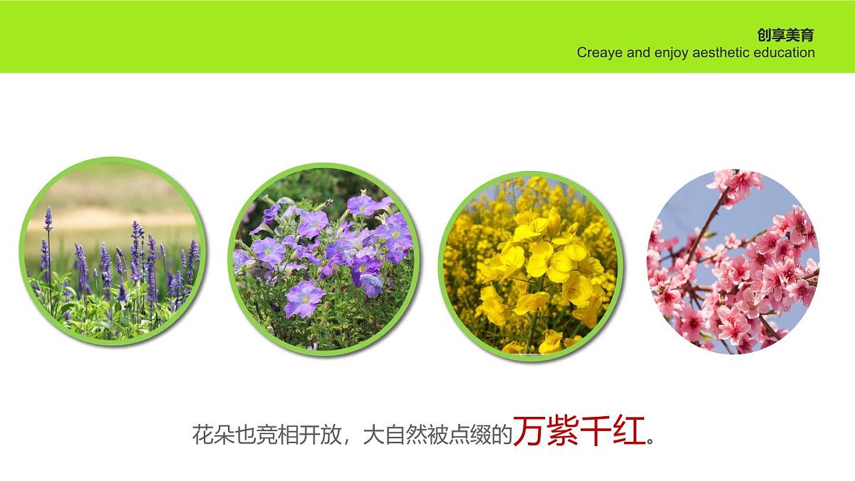 学前教育大班《四月桃花》课件第6页