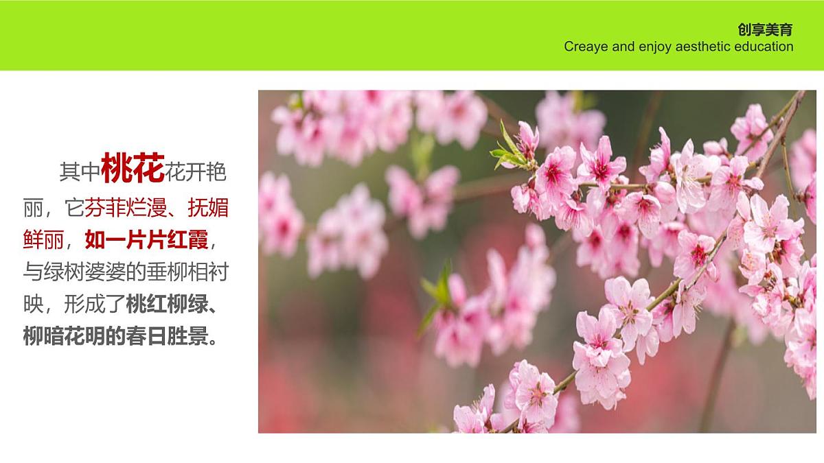 学前教育大班《四月桃花》课件第7页